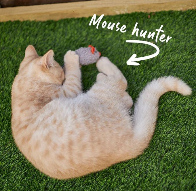 Cat Toy Kazoo Thrice The Mice