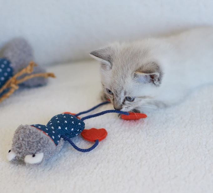 Cat Toy Kazoo Floppy Frog