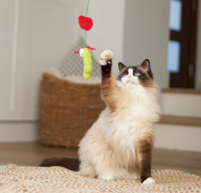 Cat Toy Kazoo Hungry Caterpillar
