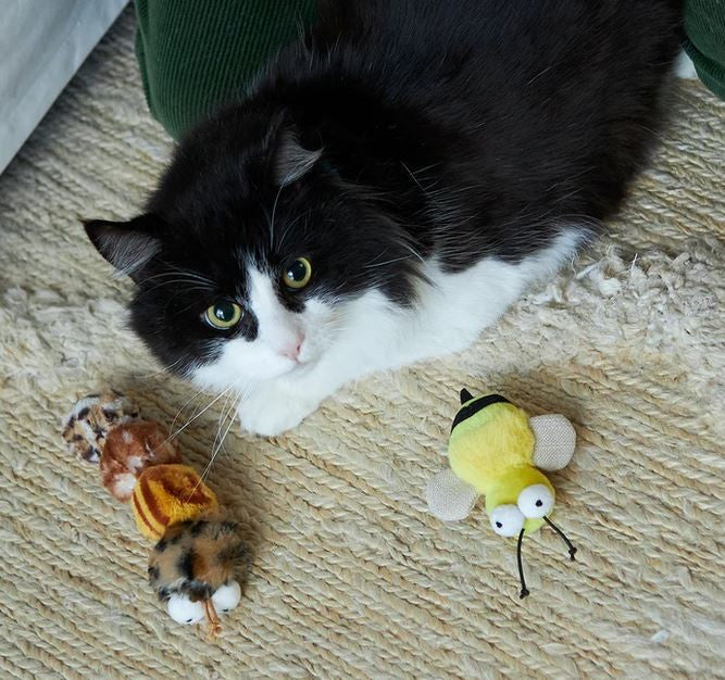 Cat Toy Kazoo Noisy Busy Bee