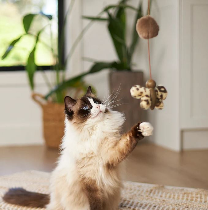 Cat Toy Kazoo Catnip Butterfly Wand