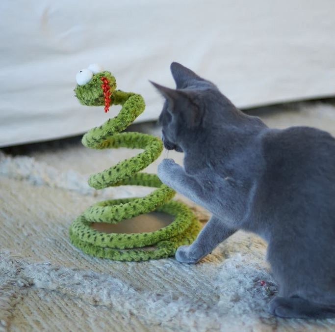 Cat Toy Kazoo Springy Snake