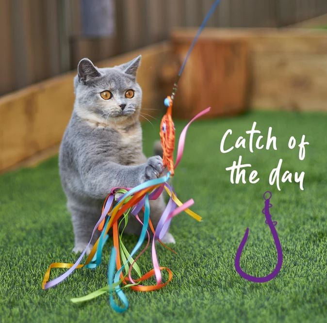 Cat Toy Kazoo Streamer Fish Wand
