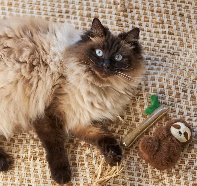 Cat Toy Kazoo Jungle Sloth