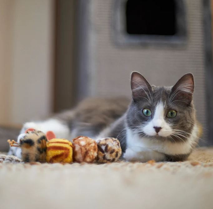 Cat Toy Kazoo Velcro Worm