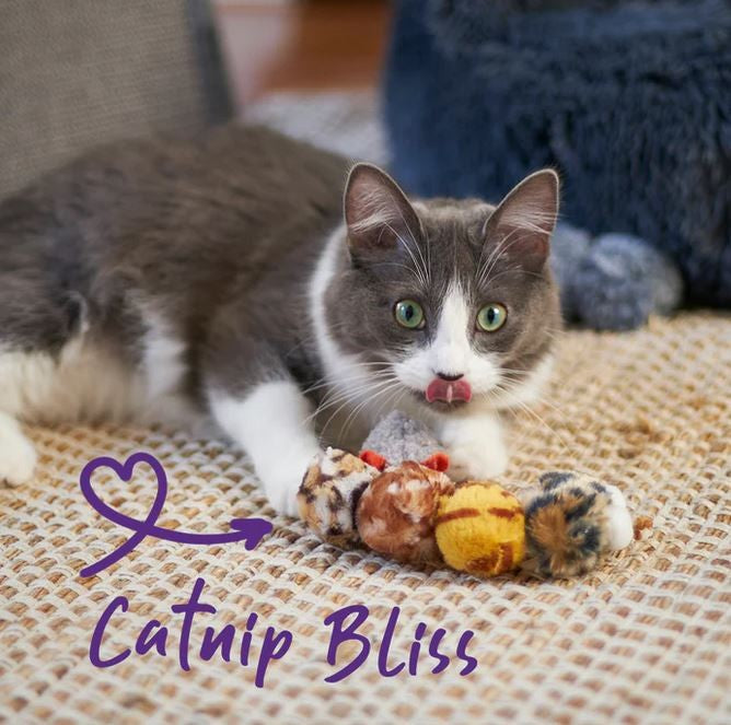 Cat Toy Kazoo Velcro Worm