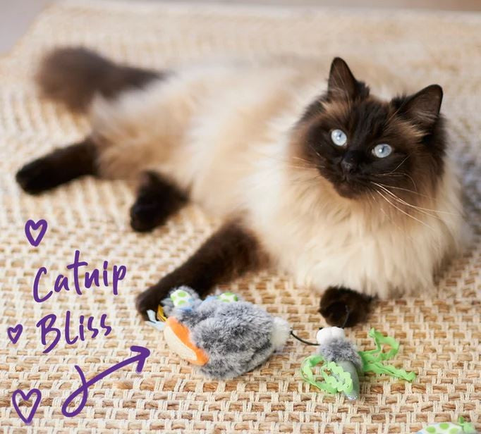 Cat Toy Kazoo Hungry Bunny