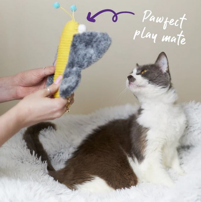 Cat Toy Kazoo Butterfly Kicker