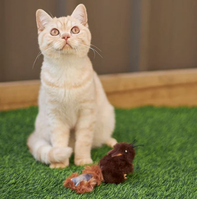 Cat Toy Kazoo Squishy Squirrel