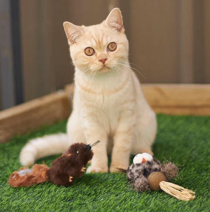 Cat Toy Kazoo Squishy Squirrel