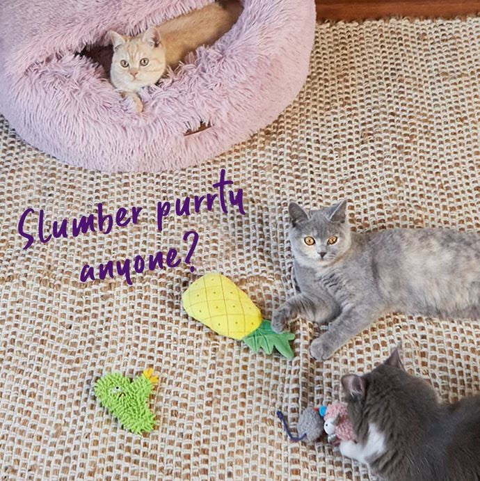 Cat Toy Kazoo Crinkly Pineapple