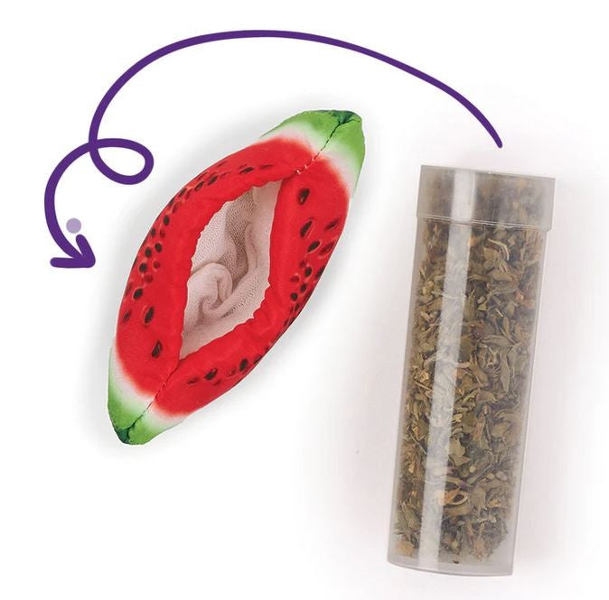 Cat Toy Kazoo Watermelon Wedge