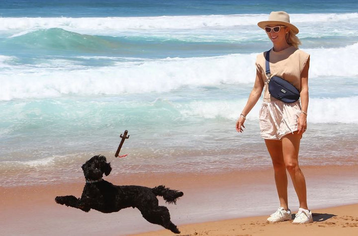 Doog Neosport Hip Belt Navy