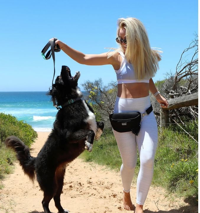 Doog Neosport Hip Belt Navy