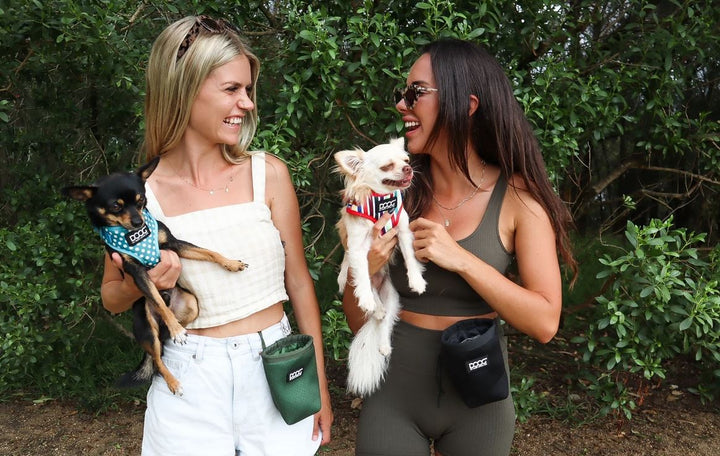 Doog Neosport Treat Pouch Green Small