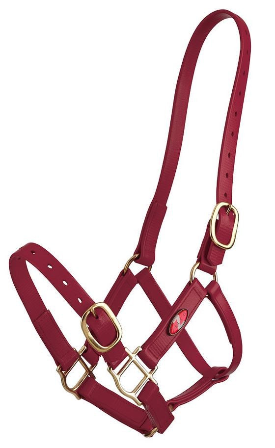 Headstall Plastic 25mm Zilco Full Burgundy