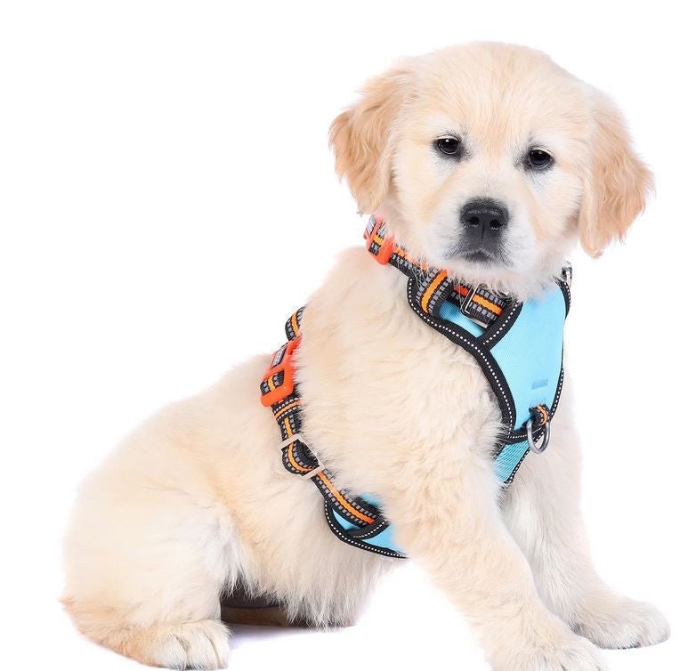 Doog Harness Neotech Neon Beethoven