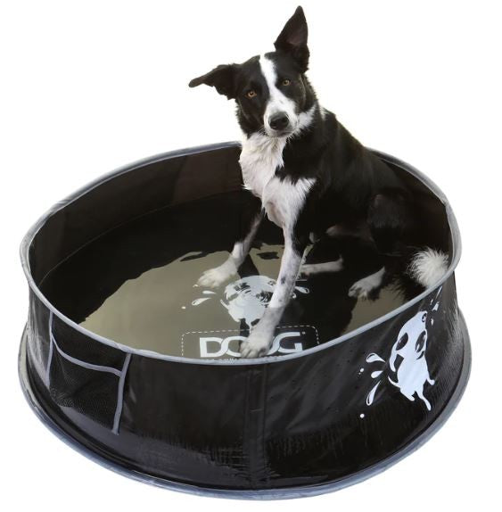 Pool Dog Doog Pop Up Large