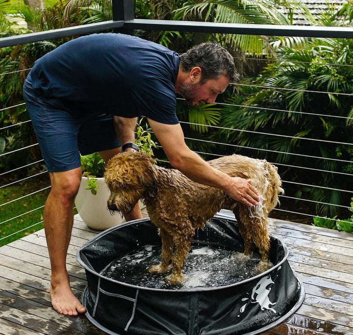 Pool Dog Doog Pop Up Large