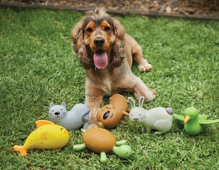 Kazoo Dog Toy Barney The Dog Medium