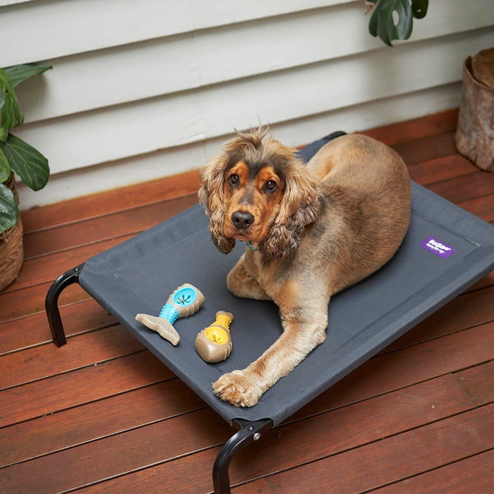 Kazoo Dog Toy Tough N Tasty Chew Tail Milk