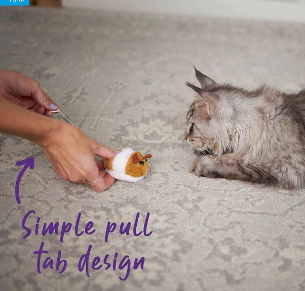 Cat Toy Kazoo Racer Mouse