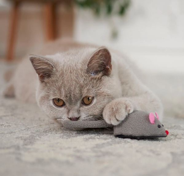 Cat Toy Kazoo Move It Mouse