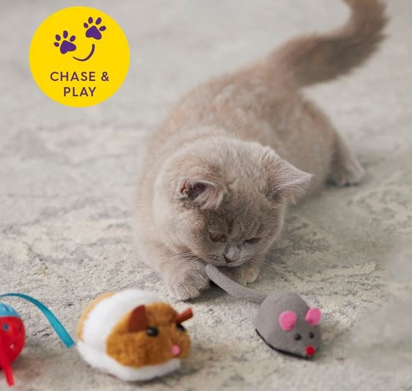 Cat Toy Kazoo Move It Mouse