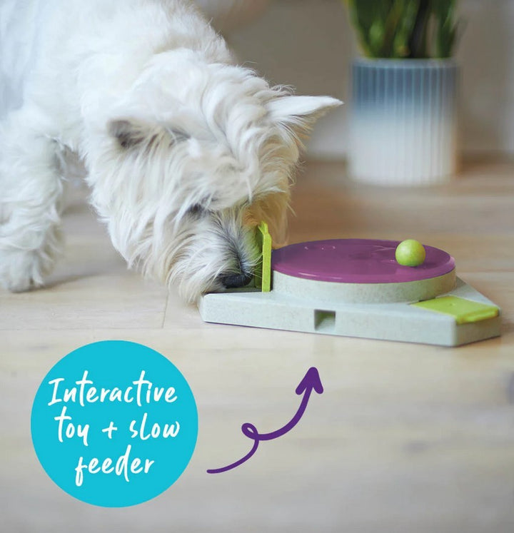 Kazoo Dog Toy Interactive Puzzle Play Triangle Turn