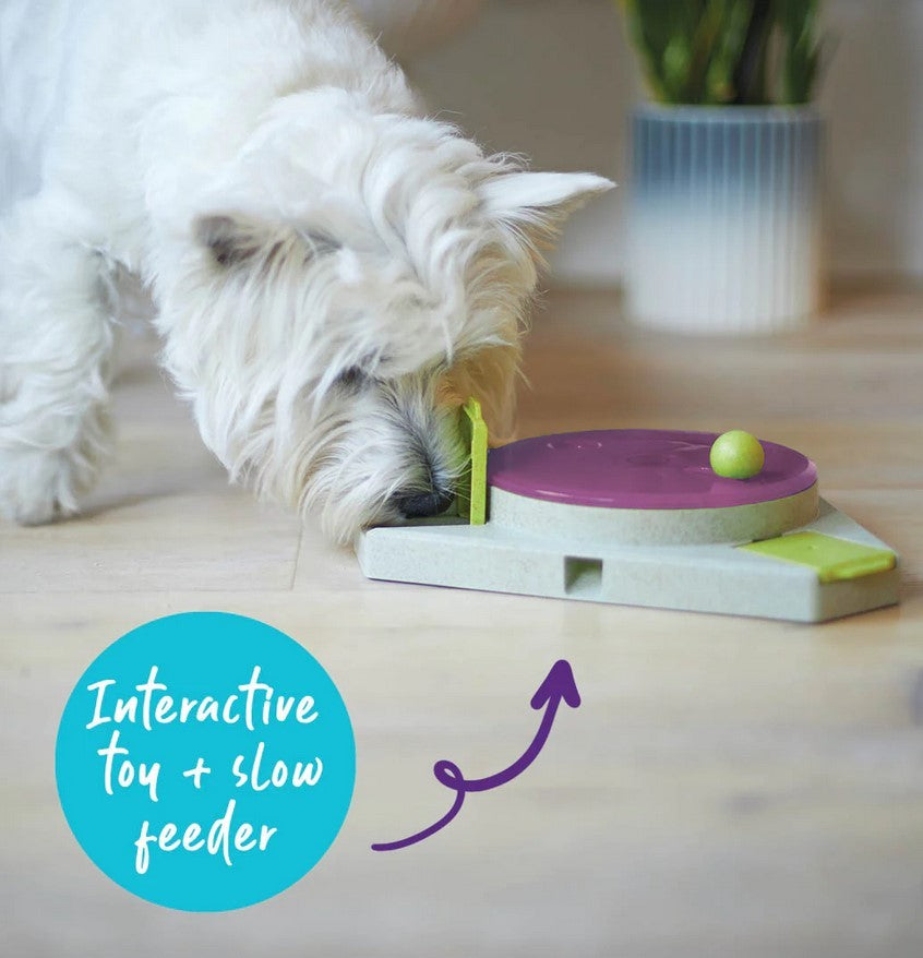 Kazoo Dog Toy Interactive Puzzle Play Triangle Turn