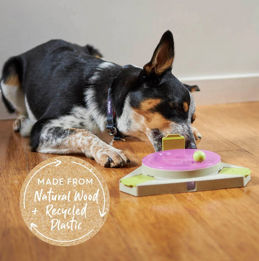 Kazoo Dog Toy Interactive Puzzle Play Triangle Turn