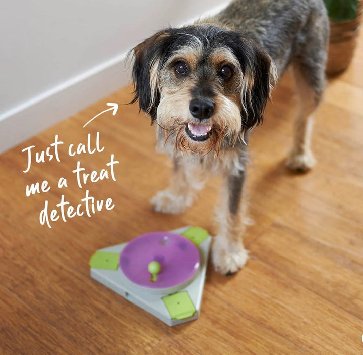 Kazoo Dog Toy Interactive Puzzle Play Triangle Turn