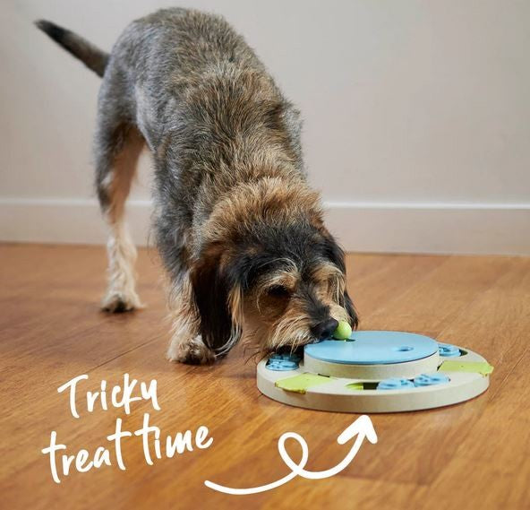 Kazoo Dog Toy Interactive Puzzle Play Circle Slider