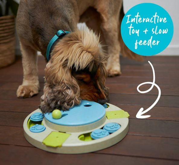 Kazoo Dog Toy Interactive Puzzle Play Circle Slider