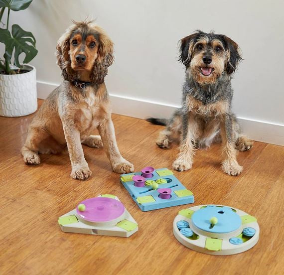 Kazoo Dog Toy Interactive Puzzle Play Circle Slider