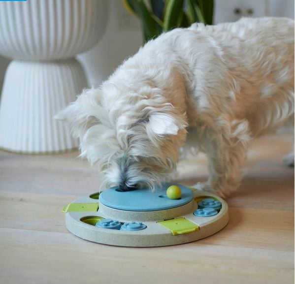 Kazoo Dog Toy Interactive Puzzle Play Circle Slider