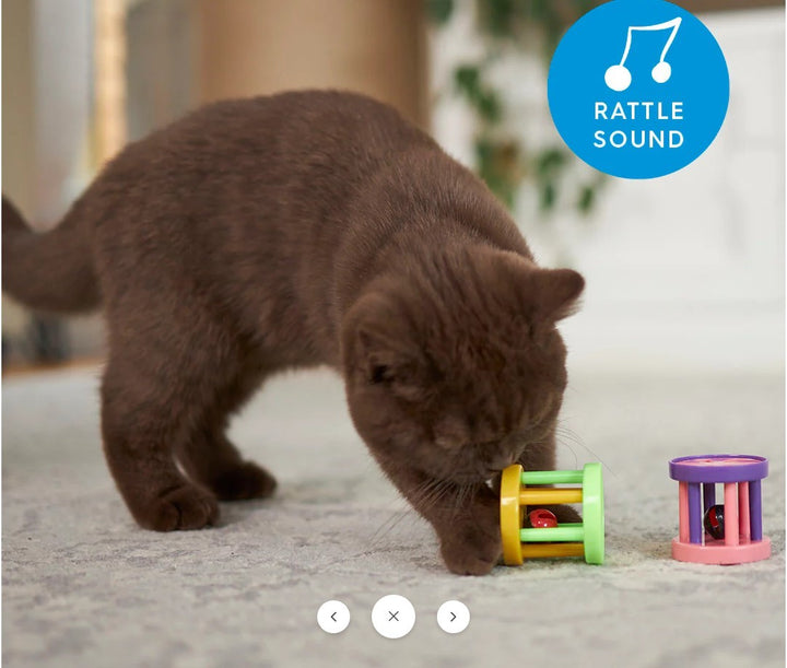 Cat Toy Kazoo Kitty Barrel Rattle