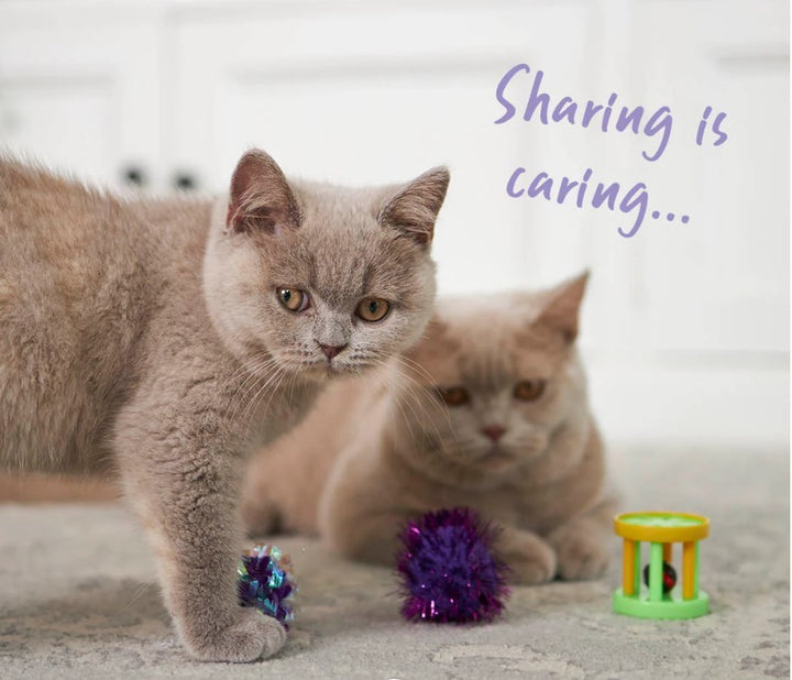 Cat Toy Kazoo Kitty Barrel Rattle