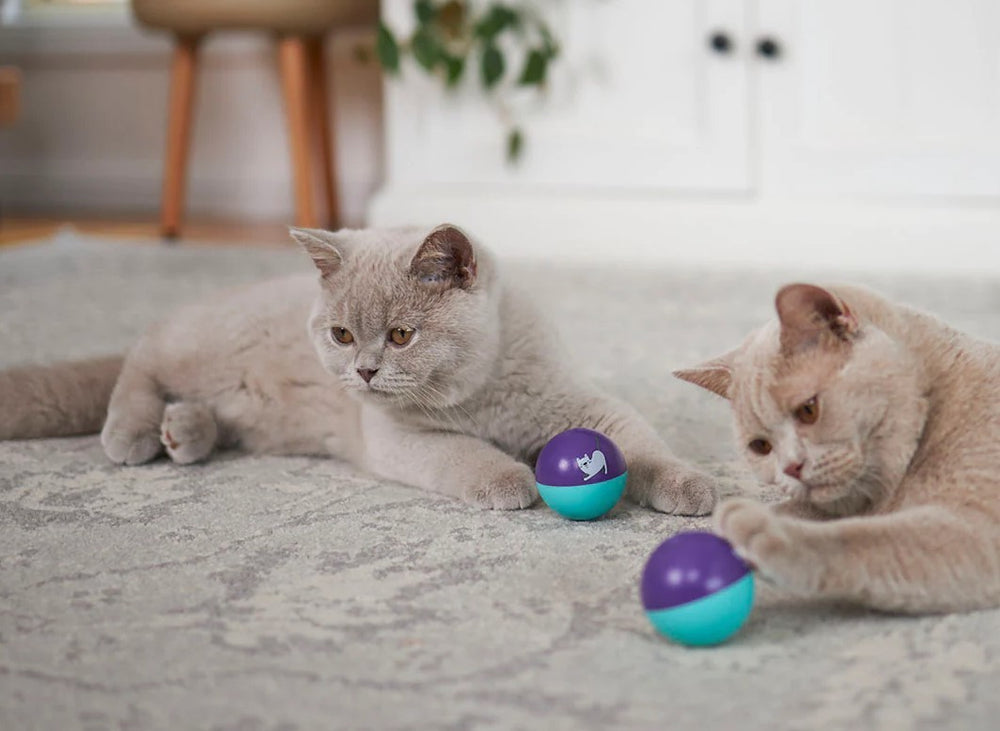 Cat Toy Kazoo Kitty Wobble Ball