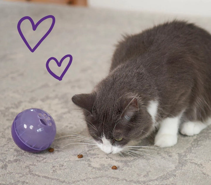 Cat Toy Kazoo Kitty Treat Ball