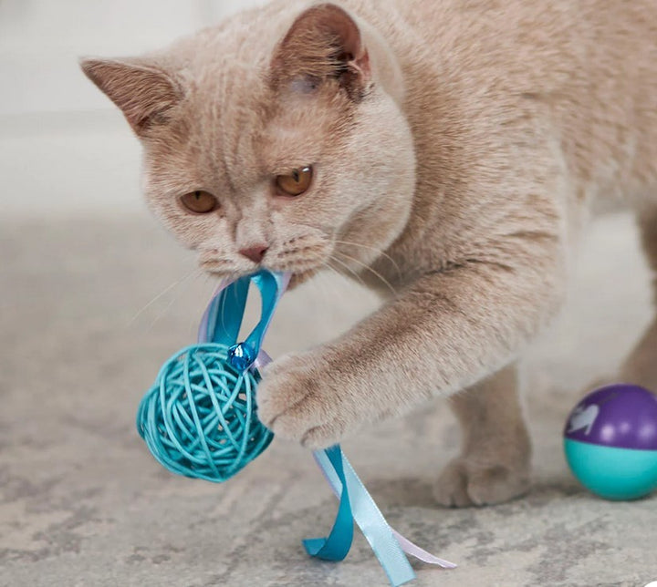 Cat Toy Kazoo Kitty Wicker Ball