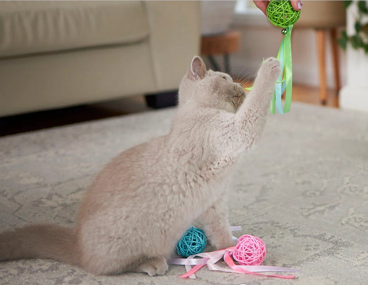 Cat Toy Kazoo Kitty Wicker Ball