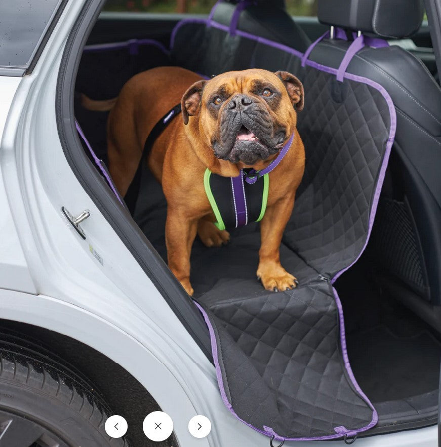Car Seat Cover Kazoo