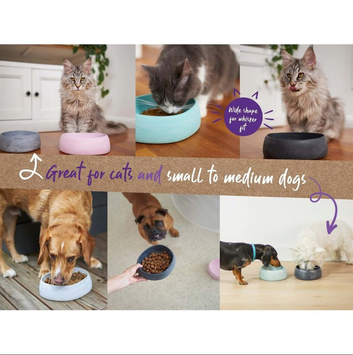 Bowl Kazoo The Better Bowl Ocean