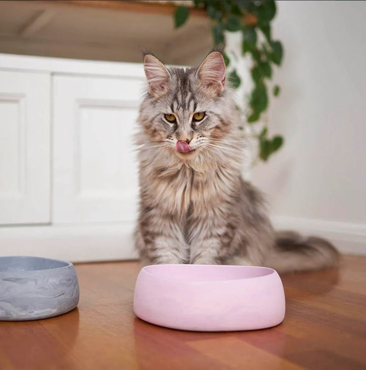 Bowl Kazoo The Better Bowl Musk