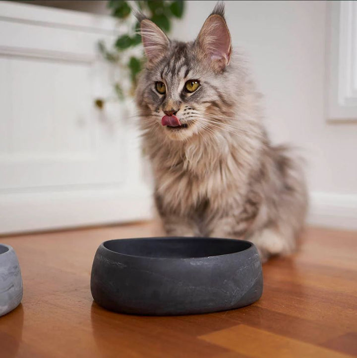Bowl Kazoo The Better Bowl Charcoal