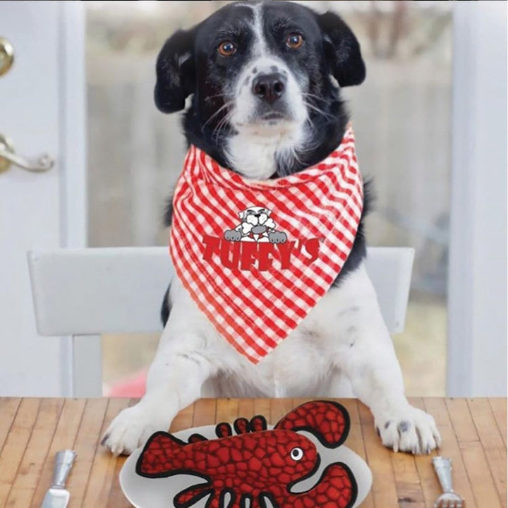 Tuffy Dog Toy Lobster 38cm Tuffscale 8