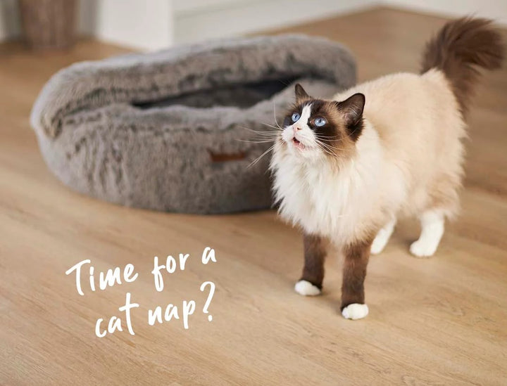 Cat Bed Hideout Kazoo Mud