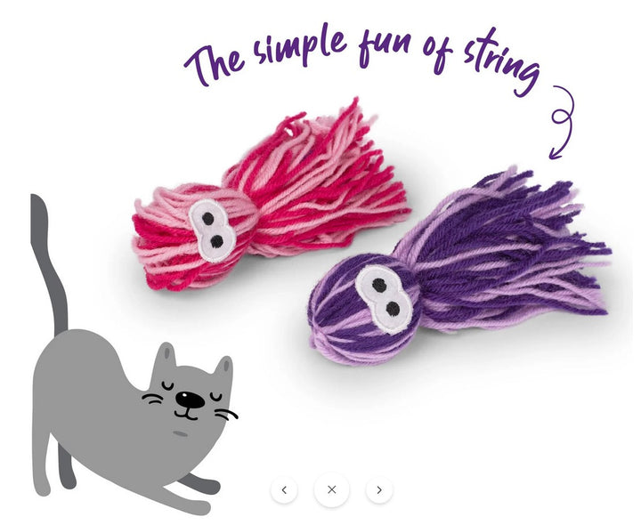 Cat Toy Kazoo Floofy Friends