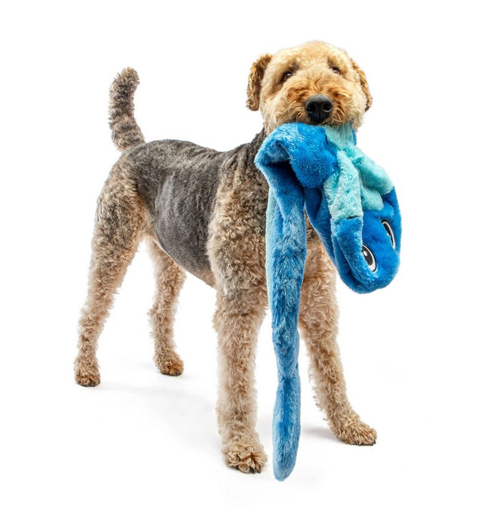 Guru Dog Toy Hide A Tail Blue Snake Medium 38cm